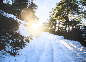 Aleixcarapeix, CC BY-SA 3.0, via Wikimedia Commons