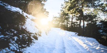 Aleixcarapeix, CC BY-SA 3.0, via Wikimedia Commons