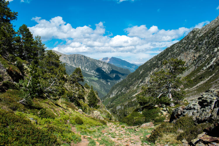 Parque natural del Alto Pirineo